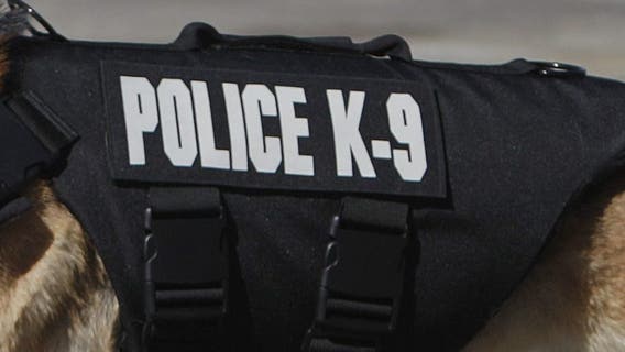 Wisconsin man accused of choking, gouging eyes of police K9 in Crown Point