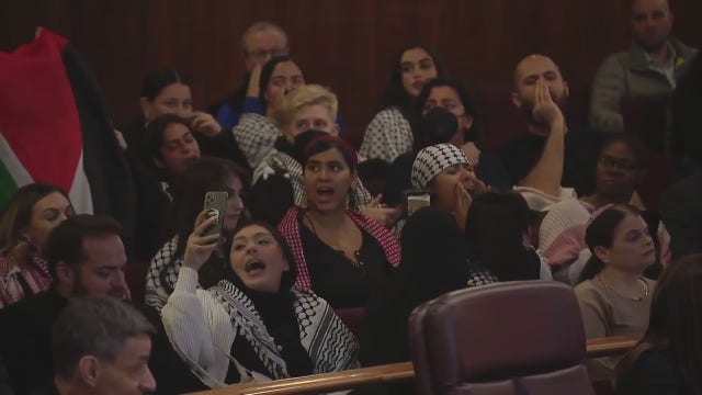 Chicago City Council passes 'Israel Solidarity Resolution' amid pro-Palestinian protests
