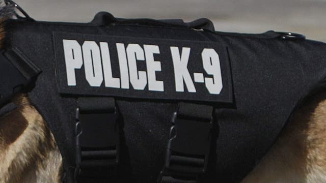 Wisconsin man accused of choking, gouging eyes of police K9 in Crown Point