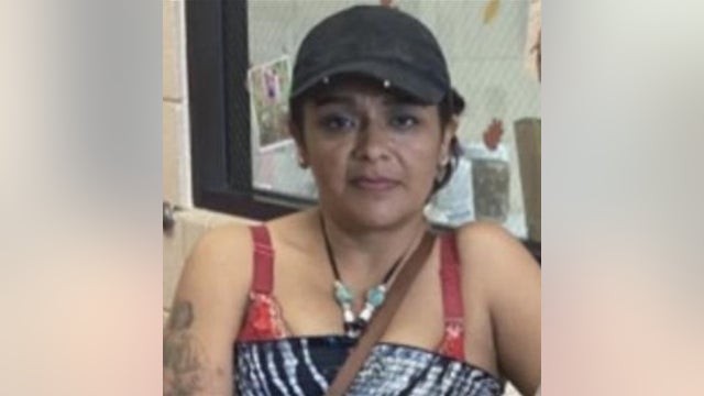 Guadalupe Villeda: Missing Chicago woman last seen in August