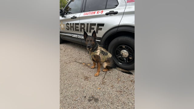 Lake County Sheriff's K9 Axel suits up in newly donated body armor