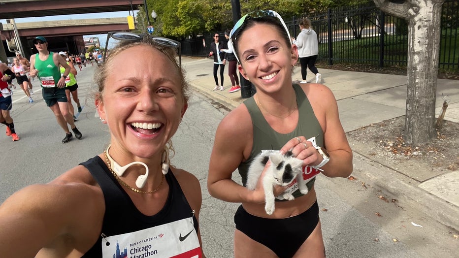 Runner Rescues Kitten, Finds It A Home While Running Chicago Marathon ...