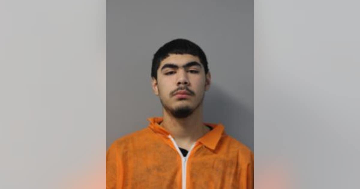 Chicago man charged after throwing rocks at several suburban businesses ...
