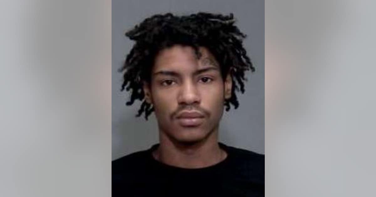 Cook County teen charged with first-degree murder in Joliet fatal ...