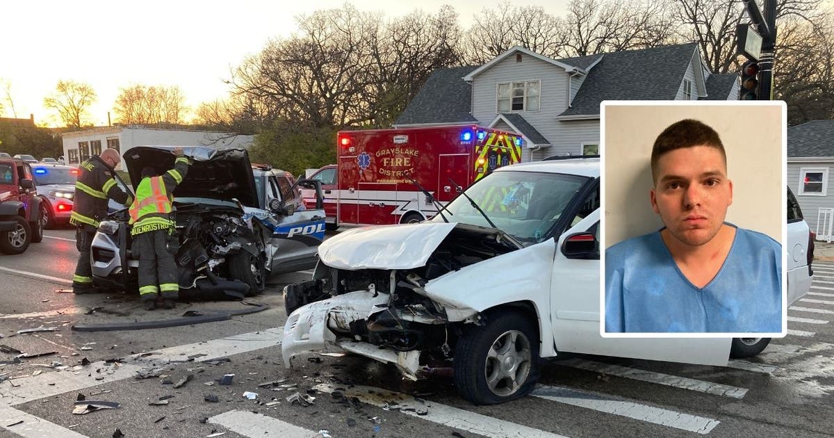 Drunk driver hits officer with car on purpose: Round Lake police | FOX ...