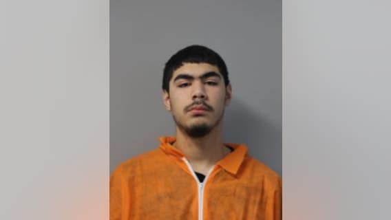 Chicago man charged after throwing rocks at several suburban businesses