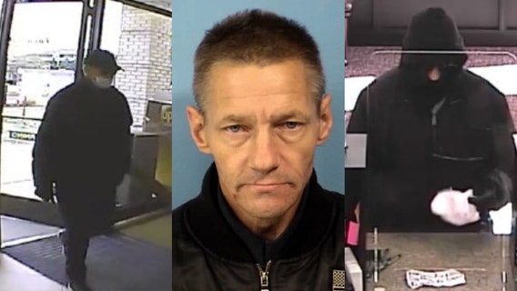 Duo robbed several banks, credit union in Chicago's suburbs: indictment