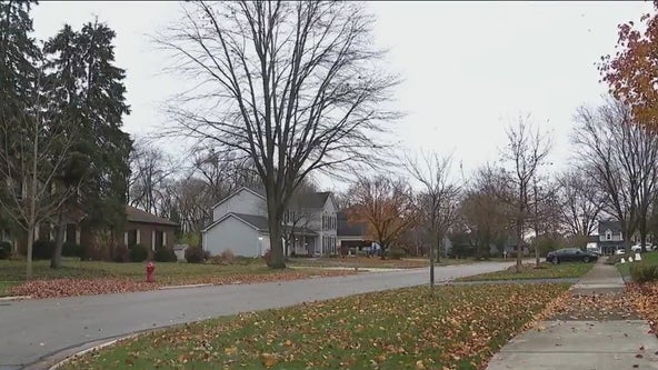 Father returns to Lisle home to find 2 young children stabbed, 'covered in blood': police