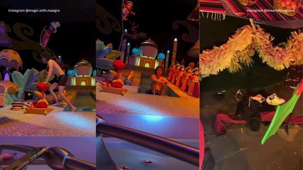Disneyland streaker arrested after stripping down in 'It's a Small World' ride