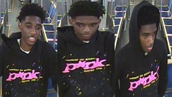 Chicago police seek man accused of robbery on CTA train