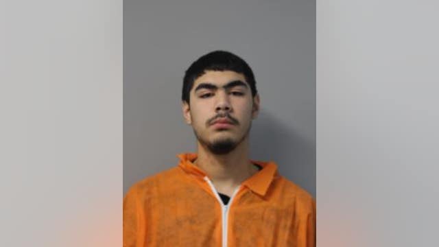 Chicago man charged after throwing rocks at several suburban businesses