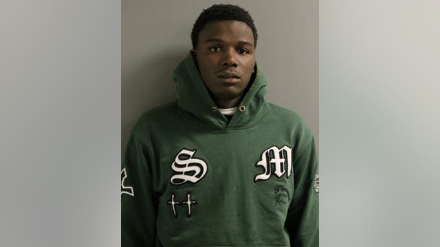 Man, 19, charged in Garfield Park carjacking