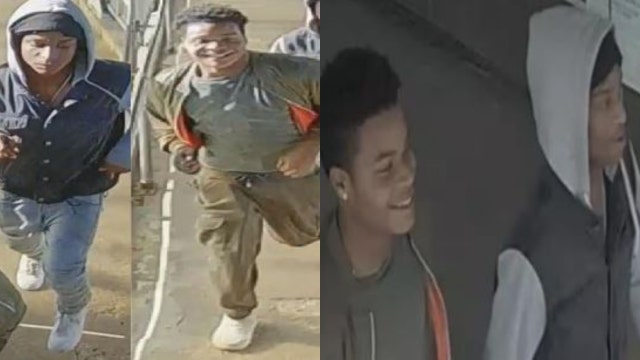 2 men wanted for allegedly kicking victim on CTA Blue Line train, stealing his cell phone