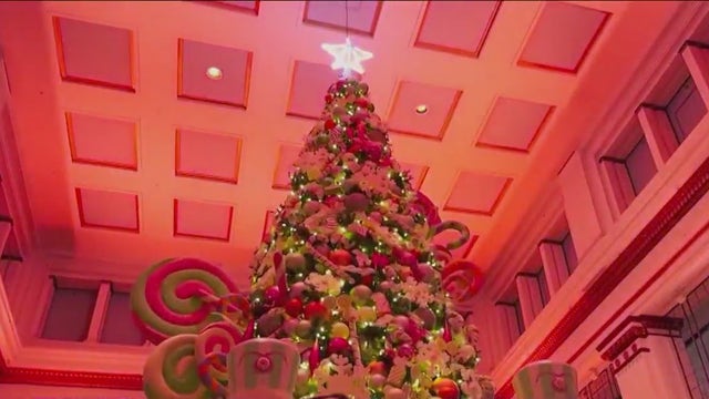 Macy's on State Street begins holiday season with tree lighting ceremony