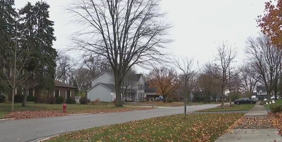 Father returns to Lisle home to find 2 young children stabbed, 'covered in blood': police