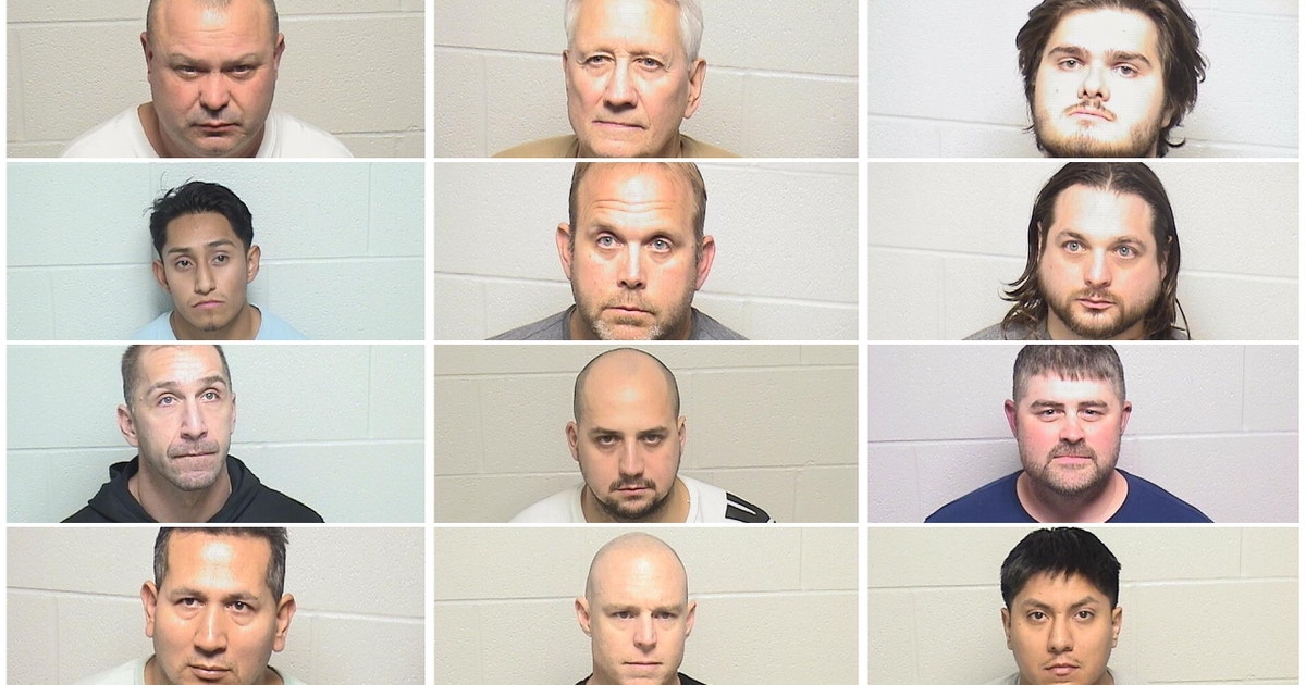 Human trafficking sting nets 12 arrests in Lake County | FOX 32 Chicago