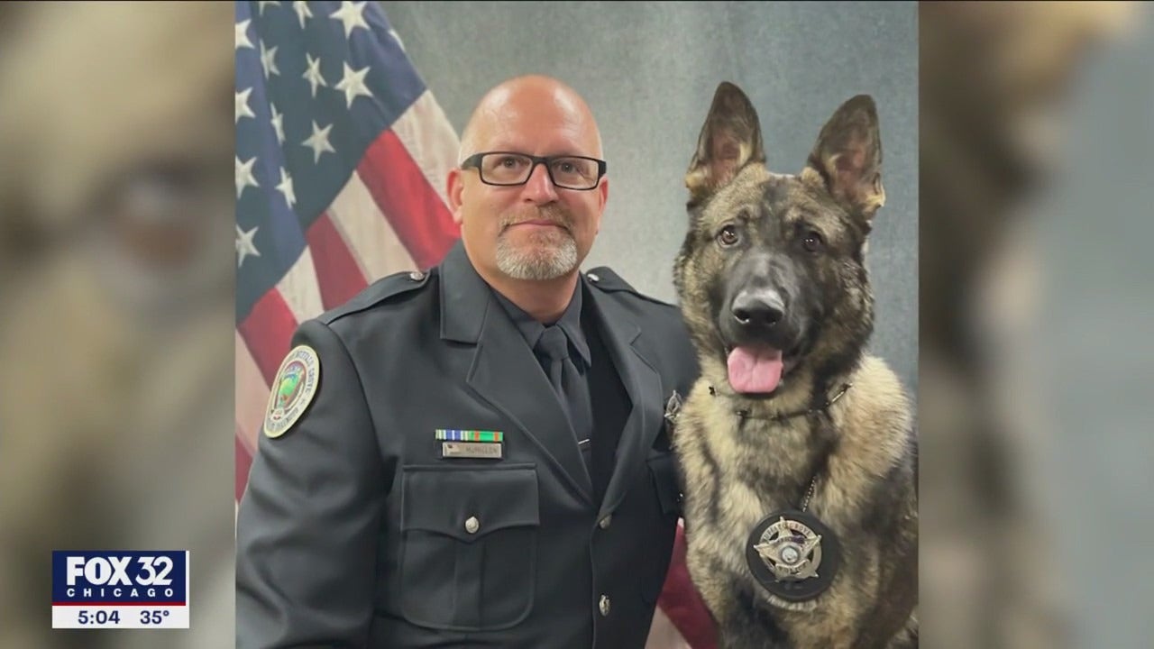 Buffalo Grove K9 Officer Receives Life-saving Protection | FOX 32 Chicago