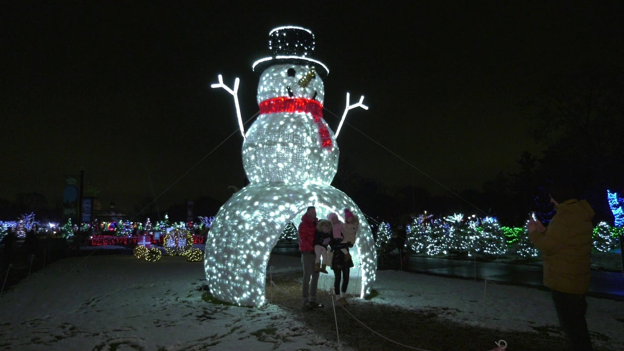 Brookfield Zoo s final night of Holiday Magic on New Year s Eve