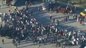 Chicago groups, businesses take part in worldwide strike for Gaza