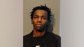 Man arrested after stealing delivery driver's vehicle at gunpoint in Marquette Park