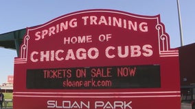 Cubs Spring Training single-game tickets now on sale