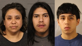 Glenview shooting: 4 charged in murders of brothers