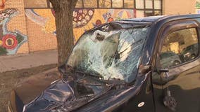 Gusty winds in Logan Square knock down tree leaving several vehicles damaged