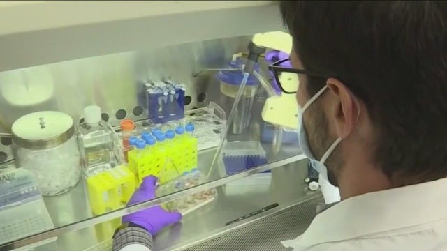 FDA approves groundbreaking CRISPR-based gene therapies for sickle cell disease