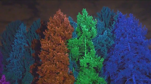 Chicago weekend events: Ballet, singing, lights, and skating