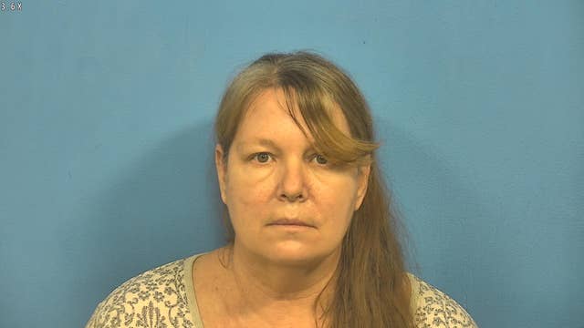 Naperville woman stabbed young children she was babysitting multiple times: prosecutors