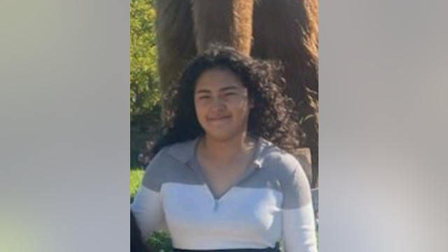 Search underway for 15-year-old last seen in Belmont Central
