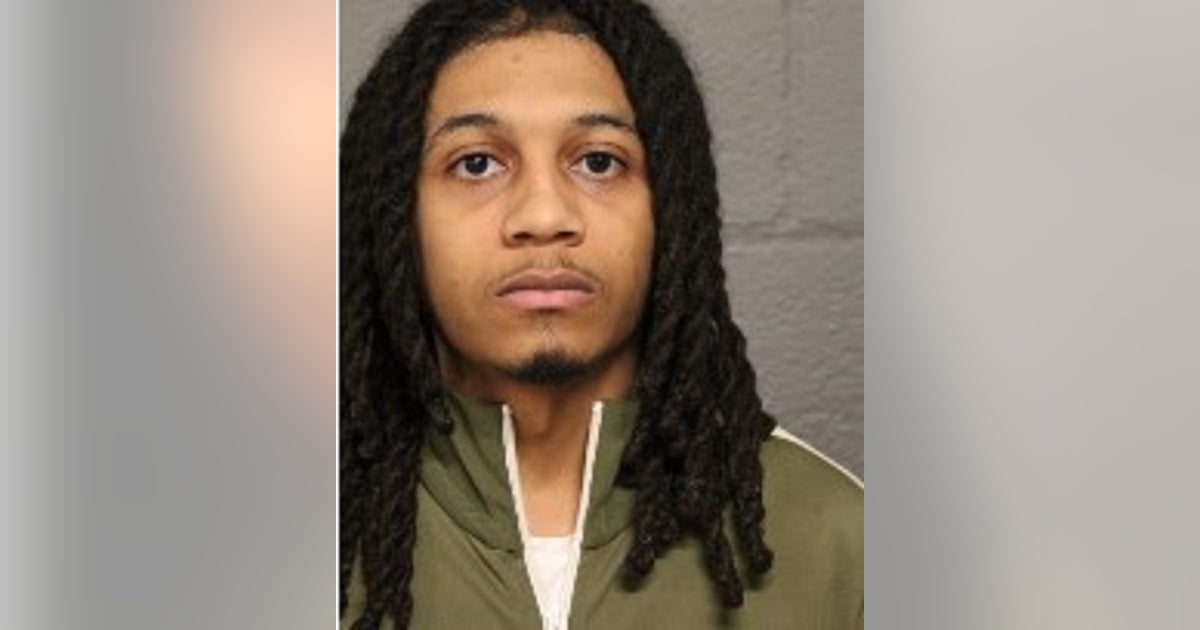 Chicago man fired shots at vehicle on Dan Ryan Expressway: ISP | FOX 32 ...