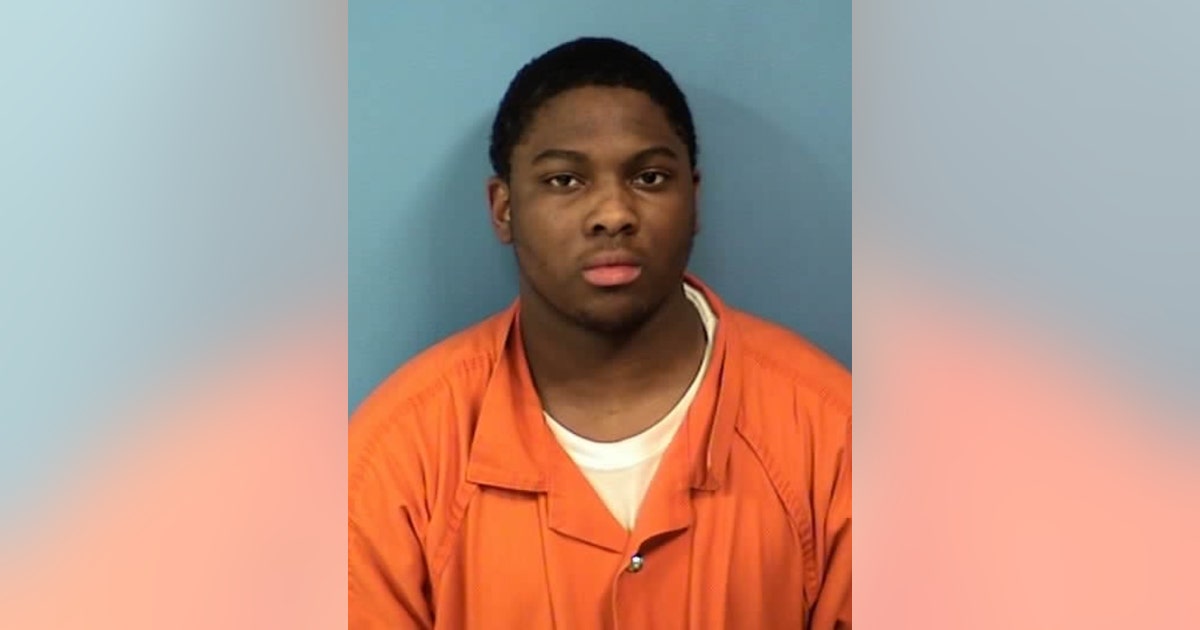 Chicago man gets 30 years in prison for carjacking mother and daughter ...