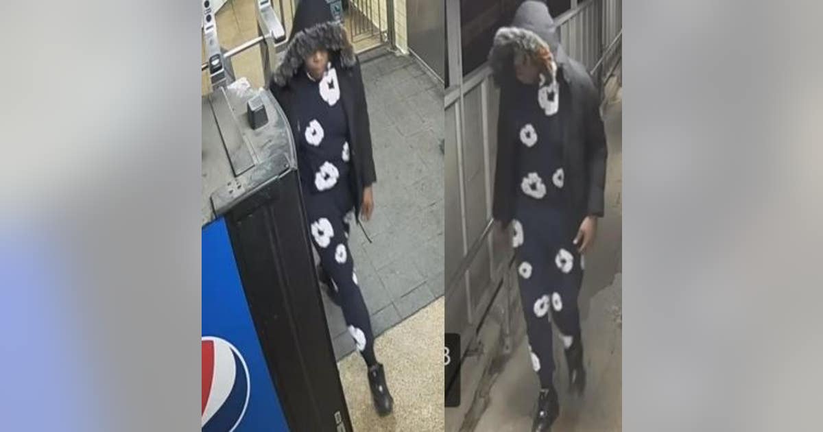 Chicago police seek machete-wielding suspect in CTA Blue Line robbery ...