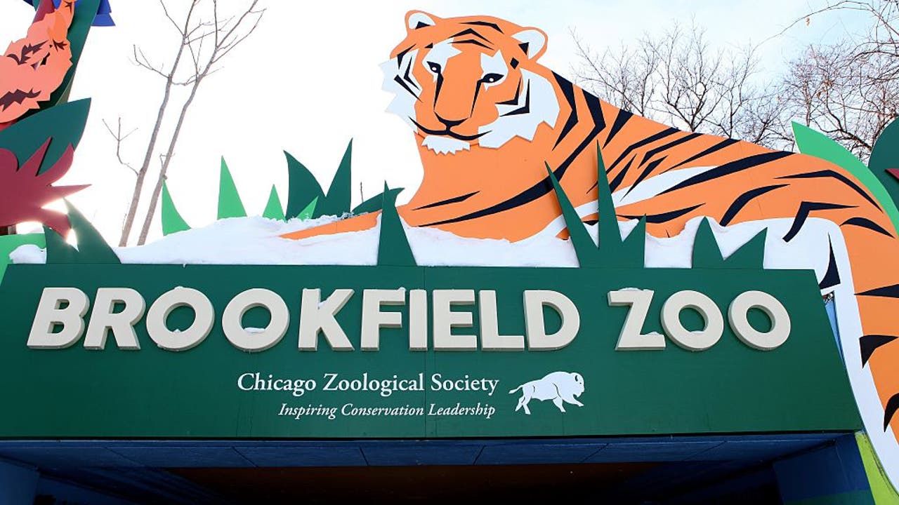 Is Brookfield Zoo Free