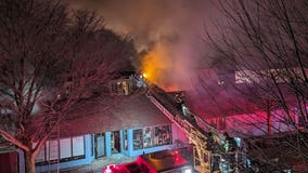 Evanston fire: Multi-alarm blaze destroys 2 businesses