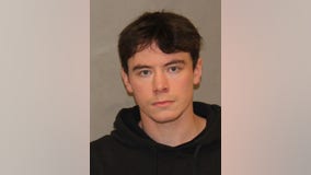 Lisle man, 21, arrested for allegedly possessing child pornography