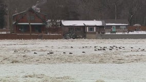 Chicago suburb grapples with flooding from ice jam