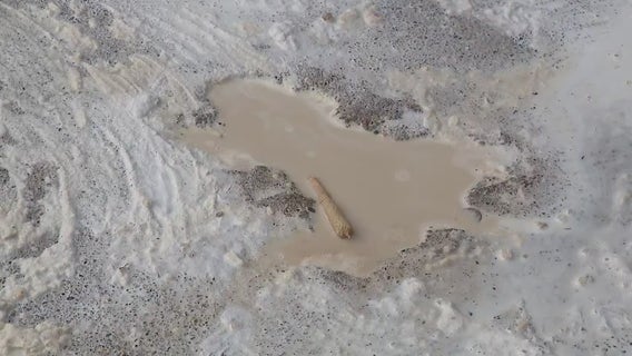 Viral Chicago 'Rat Hole' sparks mixed reactions from nearby neighbors