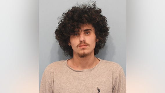 Man with gun allegedly trespassed at Naperville apartment after fleeing on foot from stolen vehicle: police