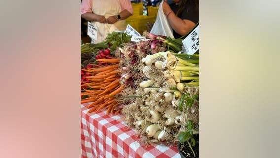 Logan Square Farmers Market moves south ahead of construction project