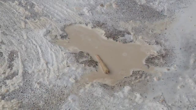 Viral Chicago 'Rat Hole' sparks mixed reactions from nearby neighbors