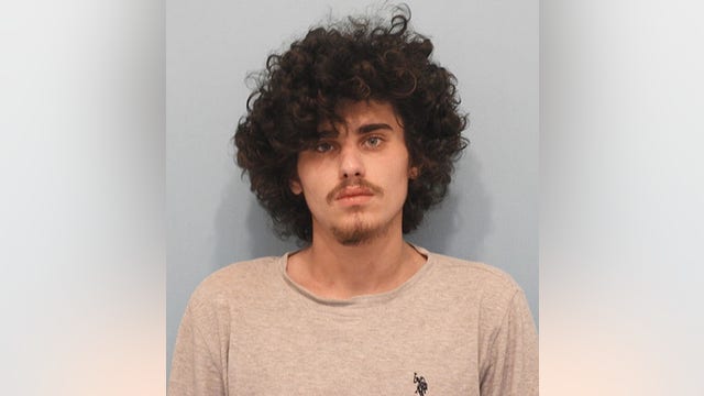 Man with gun allegedly trespassed at Naperville apartment after fleeing on foot from stolen vehicle: police