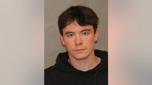 Lisle man, 21, arrested for allegedly possessing child pornography
