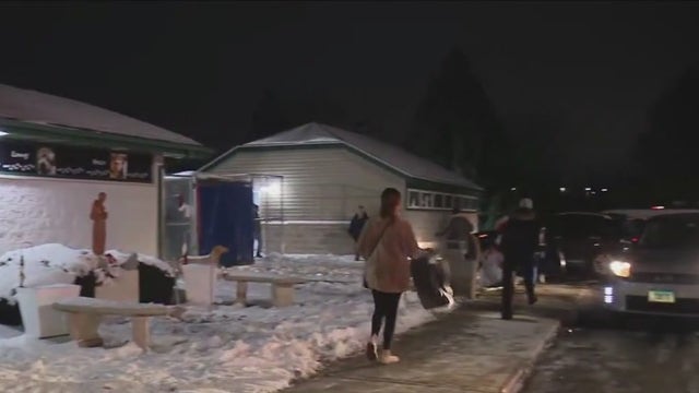 55 cats, 42 dogs rescued from P.A.W.S. Tinley Park fire: officials