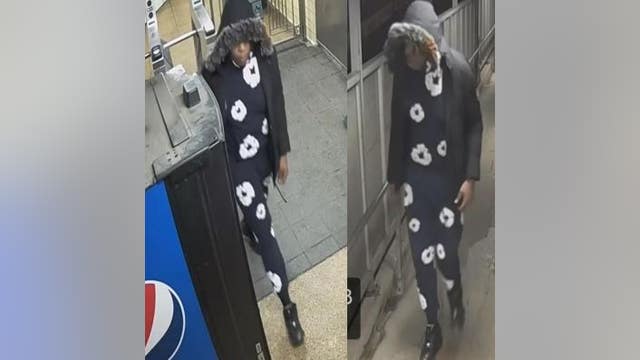 Chicago police seek machete-wielding suspect in CTA Blue Line robbery