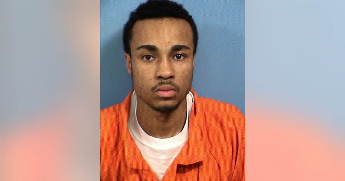 Cook County man gets prison sentence for terrifying armed robbery of ...