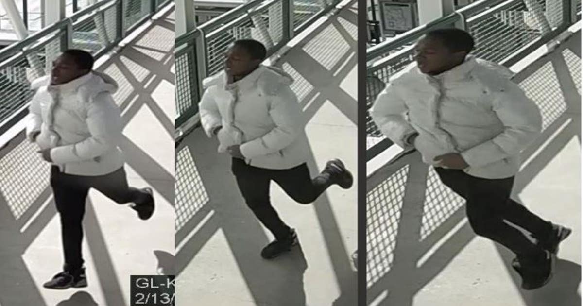Man allegedly robbed woman on CTA Green Line train: police | FOX 32 Chicago
