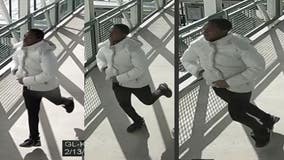 Man allegedly robbed woman on CTA Green Line train: police