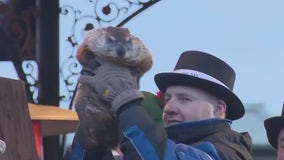 Groundhog Day 2024: Woodstock Willie weighs in on fate of winter